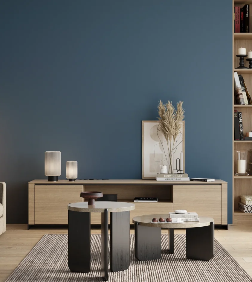 P10_SNIEZKA_salon_00_neutral_GREY_RAL5007