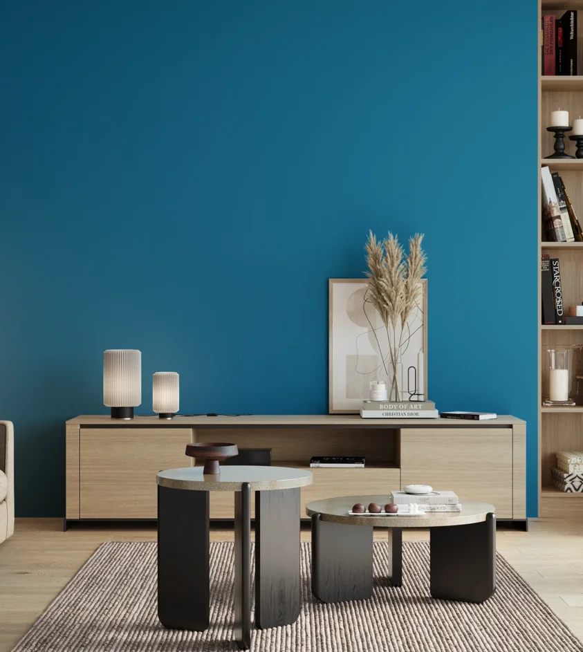 P10_SNIEZKA_salon_00_neutral_GREY_RAL5015