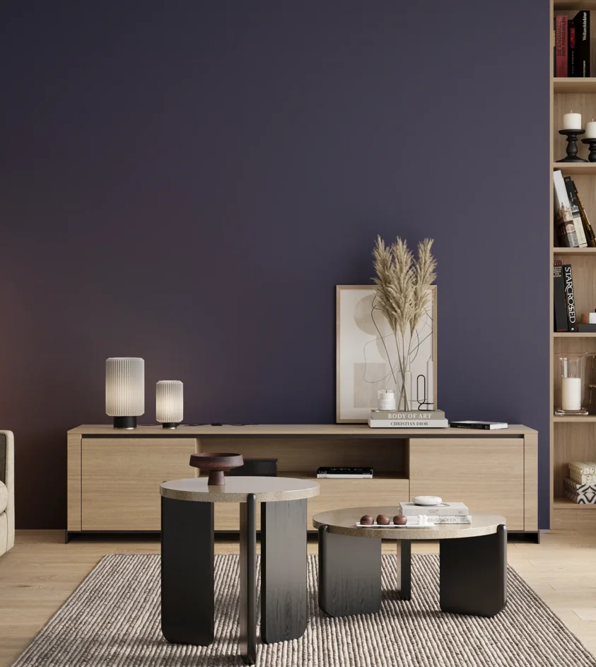 P10_SNIEZKA_salon_00_neutral_GREY_RAL5022