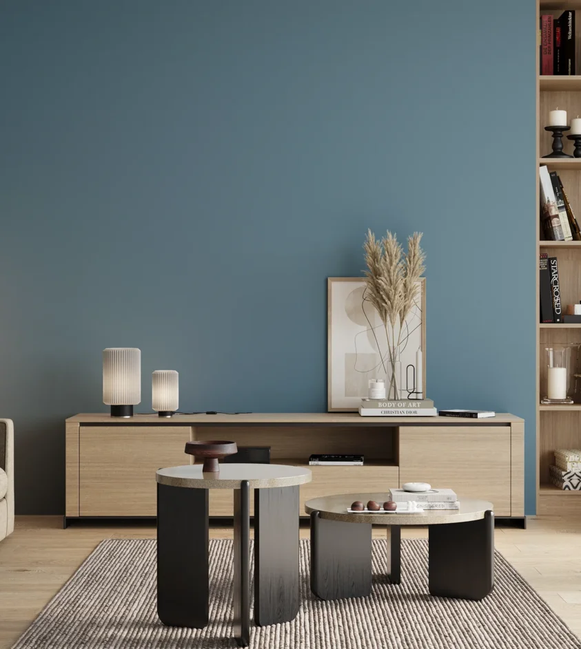 P10_SNIEZKA_salon_00_neutral_GREY_RAL5024
