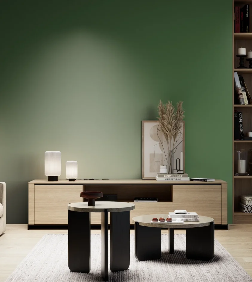 P10_SNIEZKA_salon_05_zimne_GREY_RAL6001