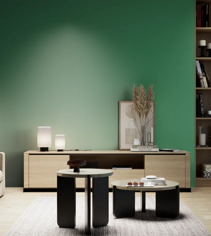 P10_SNIEZKA_salon_05_zimne_GREY_RAL6024