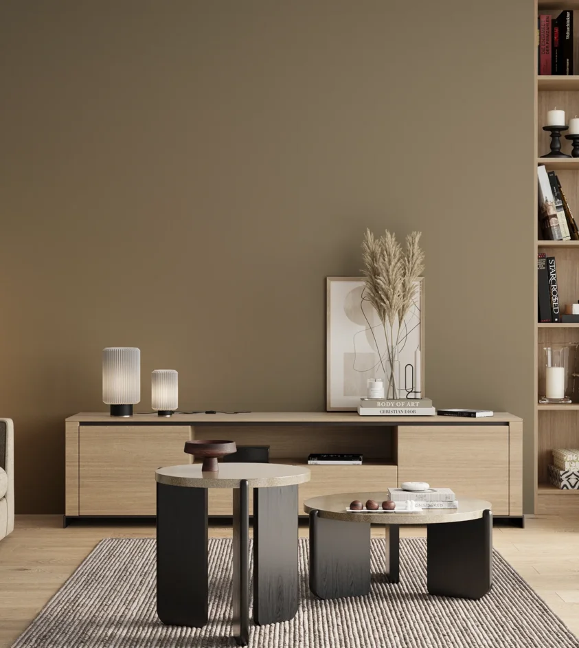 P10_SNIEZKA_salon_00_neutral_GREY_RAL7034
