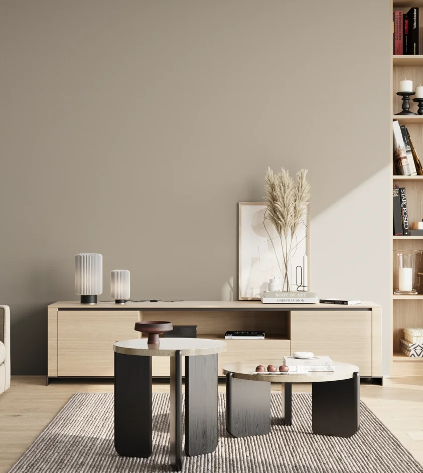P10_SNIEZKA_salon_02_poludnie_GREY_RAL7044