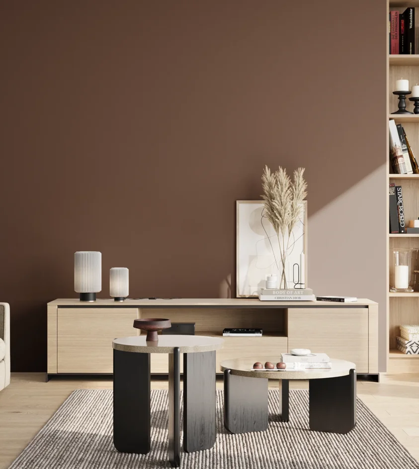P10_SNIEZKA_salon_02_poludnie_GREY_RAL8011