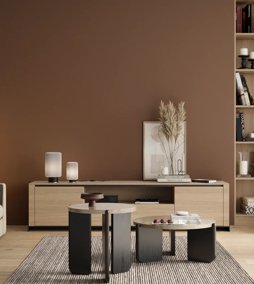 P10_SNIEZKA_salon_00_neutral_GREY_RAL8024