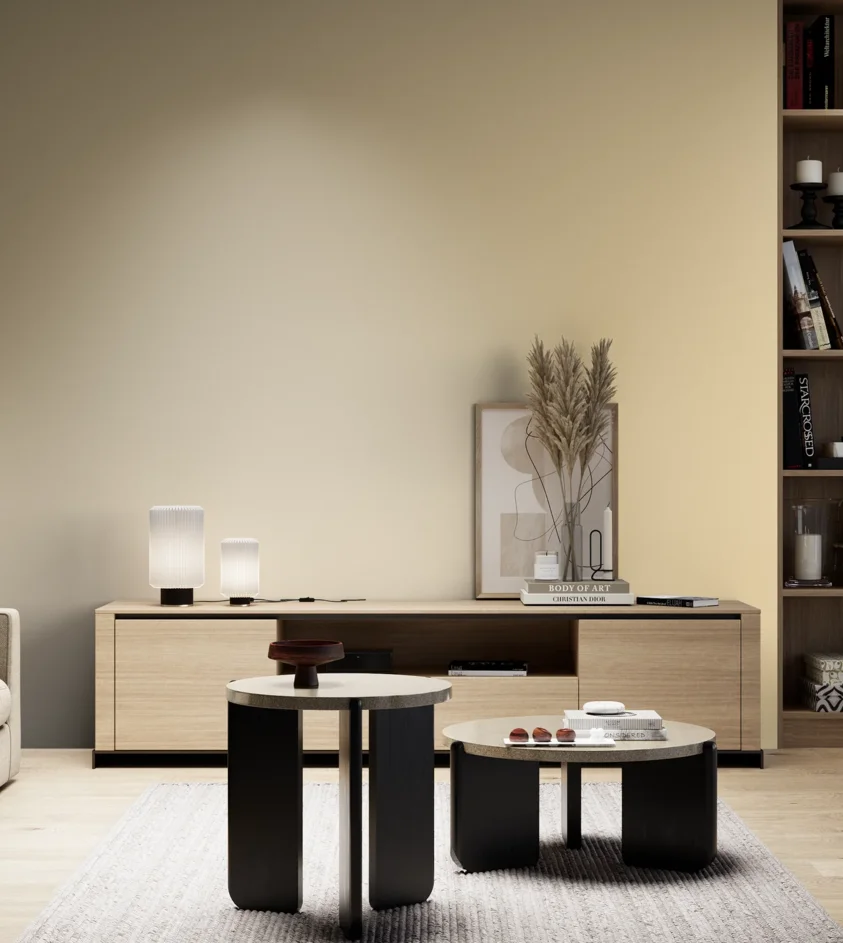 P10_SNIEZKA_salon_05_zimne_GREY_S0515-Y20R
