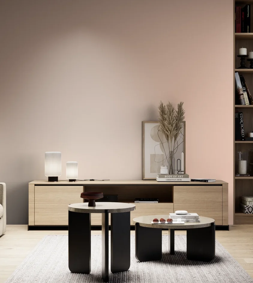 P10_SNIEZKA_salon_05_zimne_GREY_S0515-Y70R