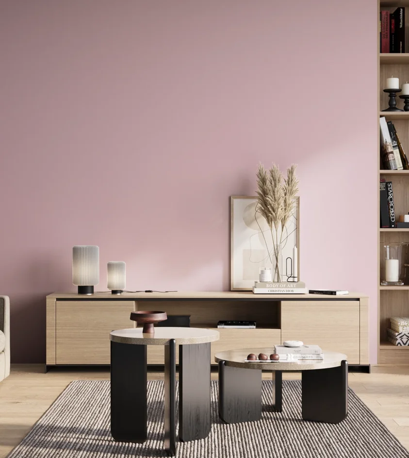 P10_SNIEZKA_salon_01_poranek_GREY_S0520-R30B