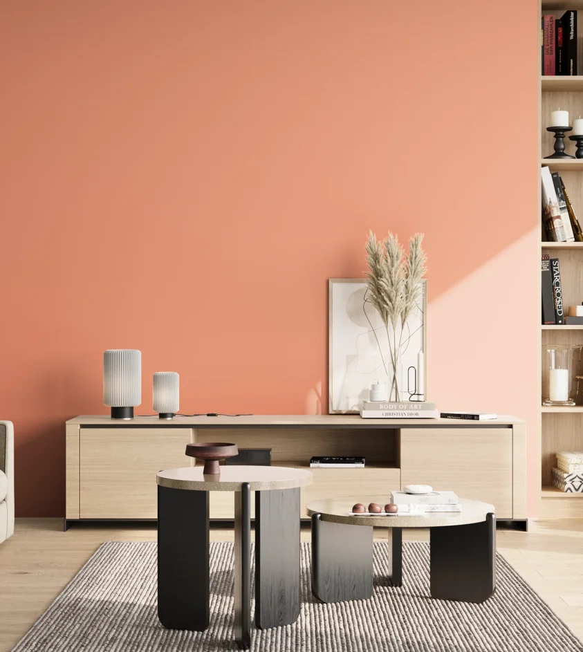 P10_SNIEZKA_salon_02_poludnie_GREY_S0540-Y70R