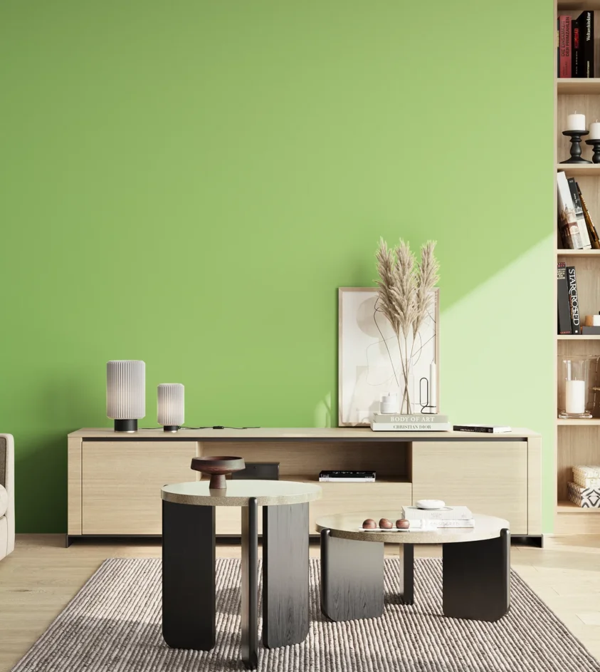 P10_SNIEZKA_salon_02_poludnie_GREY_S0550-G30Y