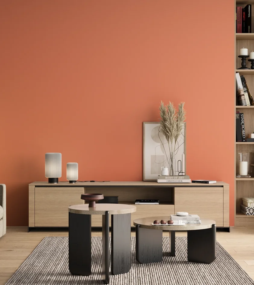 P10_SNIEZKA_salon_00_neutral_GREY_S0550-Y70R