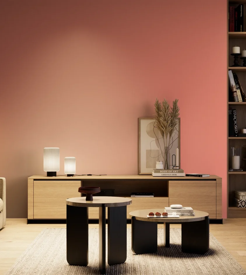 P10_SNIEZKA_salon_04_cieple_GREY_S0550-Y90R