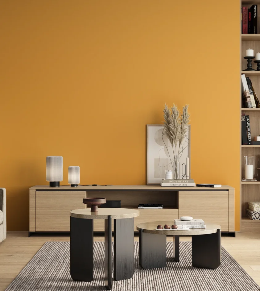 P10_SNIEZKA_salon_00_neutral_GREY_S0560-Y20R