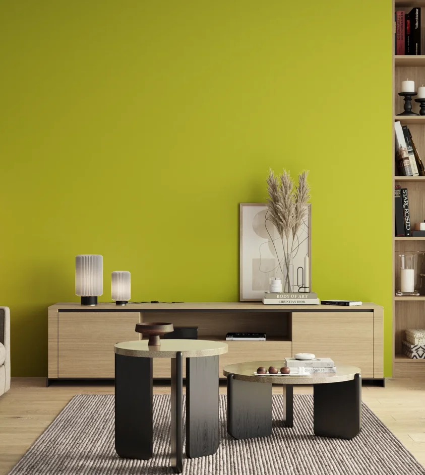 P10_SNIEZKA_salon_00_neutral_GREY_S0570-G70Y