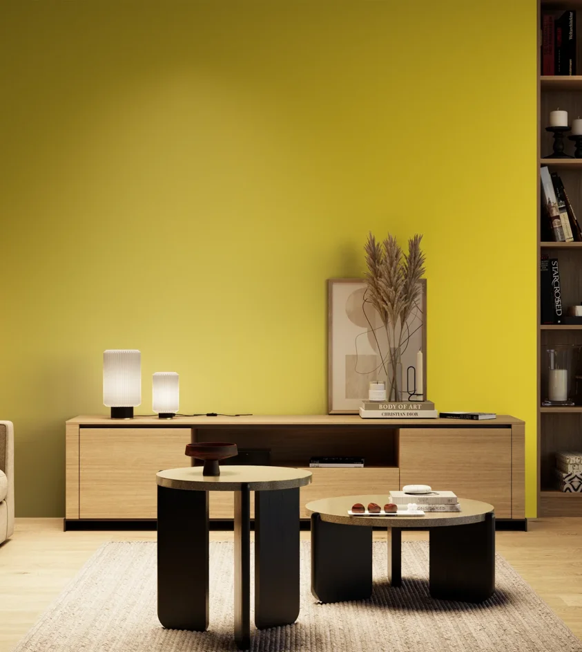 P10_SNIEZKA_salon_04_cieple_GREY_S0570-G90Y