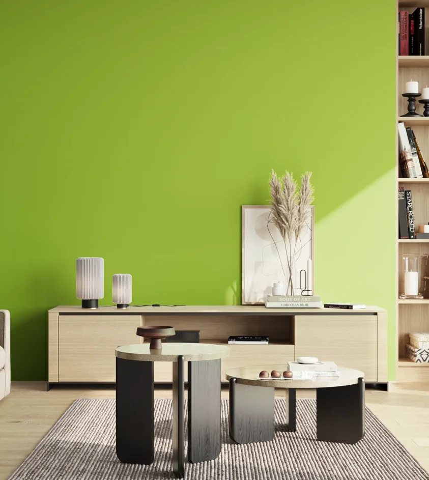 P10_SNIEZKA_salon_02_poludnie_GREY_S0575-G40Y