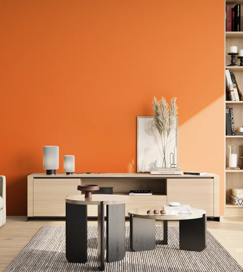 P10_SNIEZKA_salon_02_poludnie_GREY_S0580-Y50R