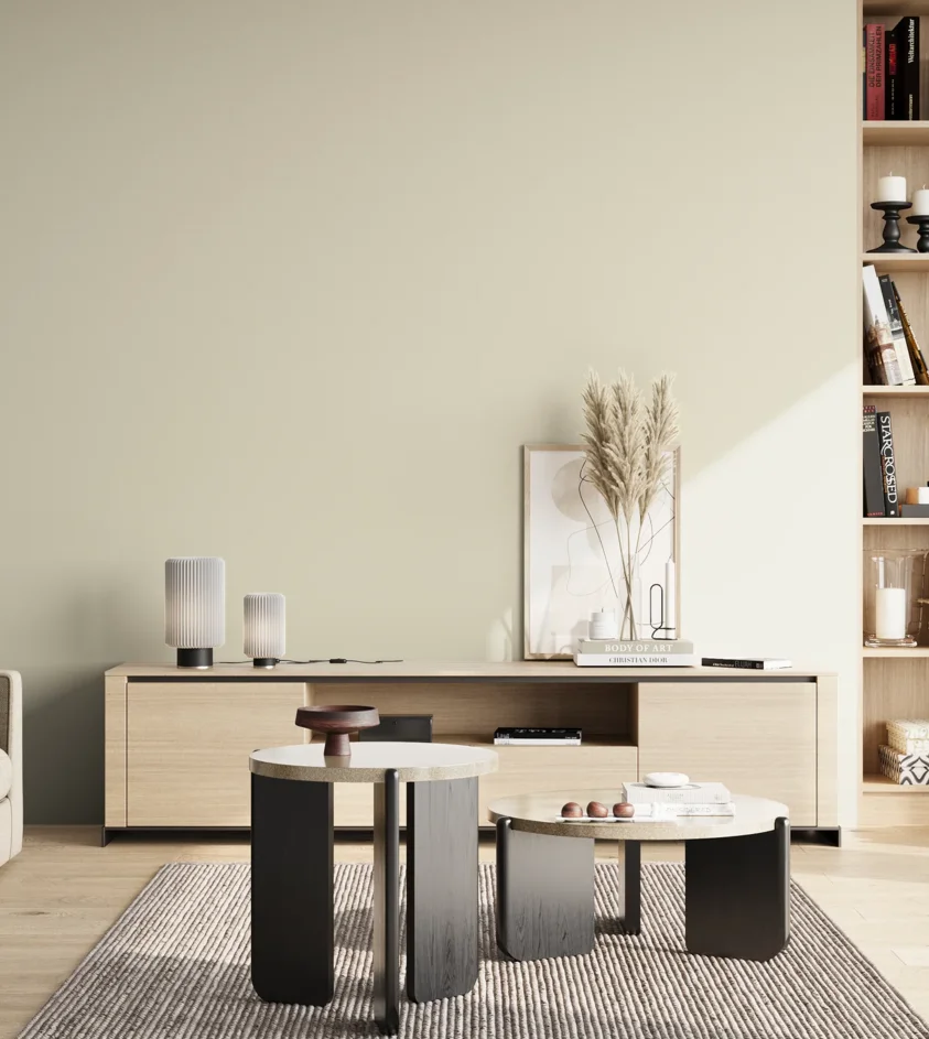 P10_SNIEZKA_salon_02_poludnie_GREY_S0804-G90Y