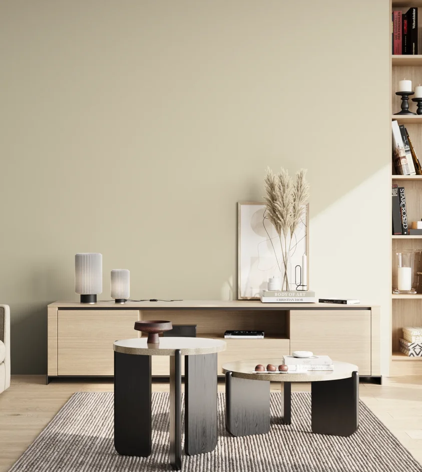 P10_SNIEZKA_salon_02_poludnie_GREY_S1005-Y10R