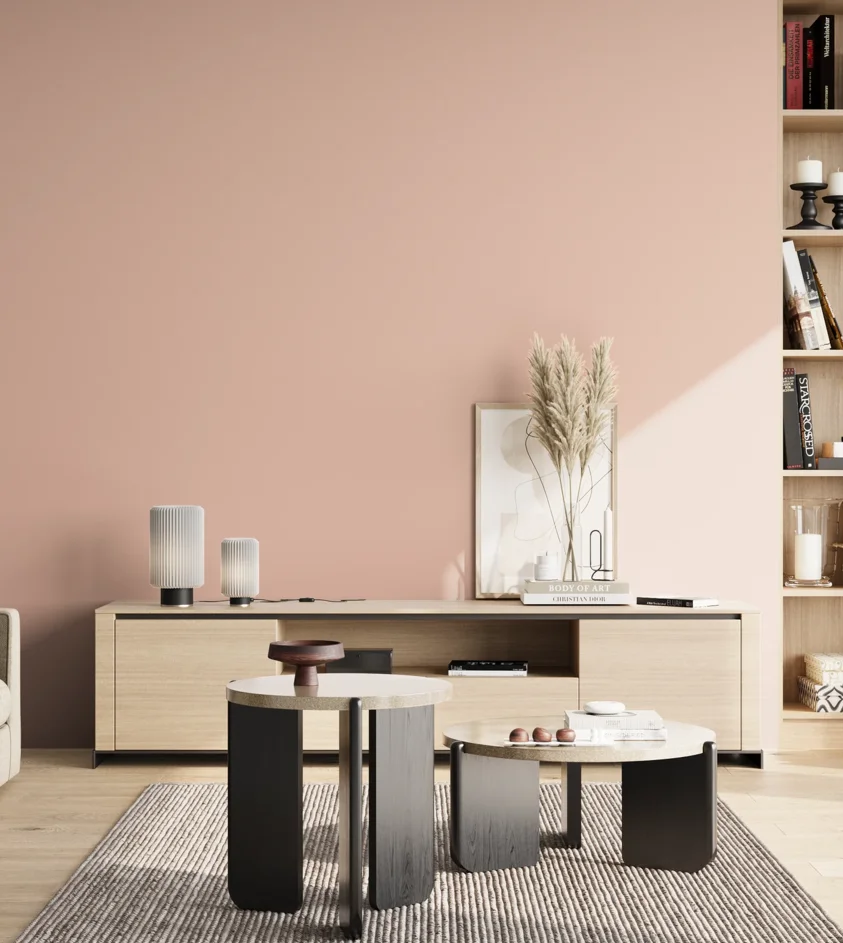 P10_SNIEZKA_salon_02_poludnie_GREY_S1015-Y80R