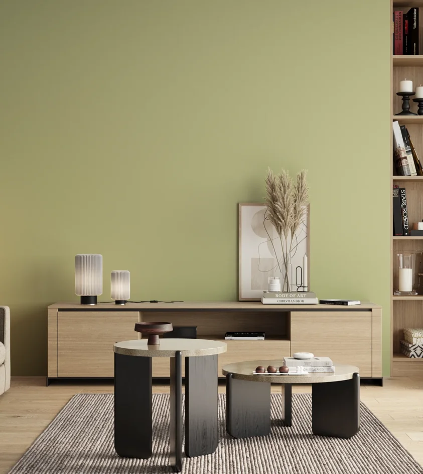 P10_SNIEZKA_salon_00_neutral_GREY_S1020-G60Y