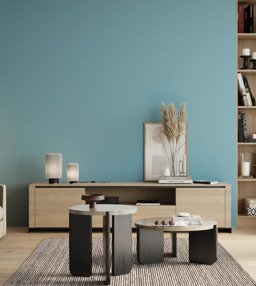 P10_SNIEZKA_salon_00_neutral_GREY_S1030-B10G