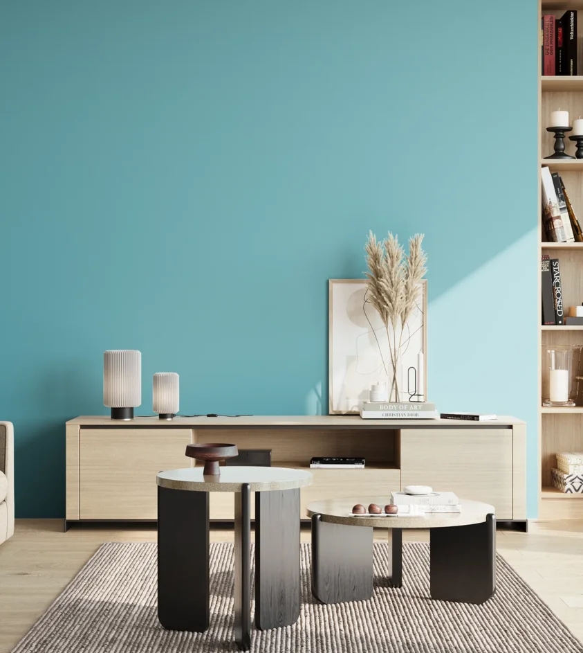 P10_SNIEZKA_salon_02_poludnie_GREY_S1040-B20G
