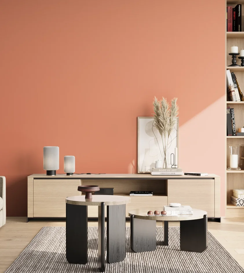 P10_SNIEZKA_salon_02_poludnie_GREY_S1040-Y70R