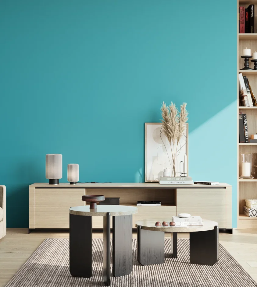 P10_SNIEZKA_salon_02_poludnie_GREY_S1050-B20G