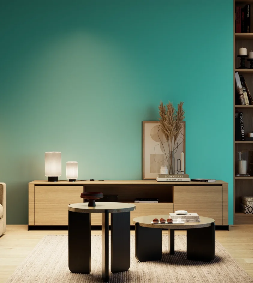 P10_SNIEZKA_salon_04_cieple_GREY_S1050-B50G