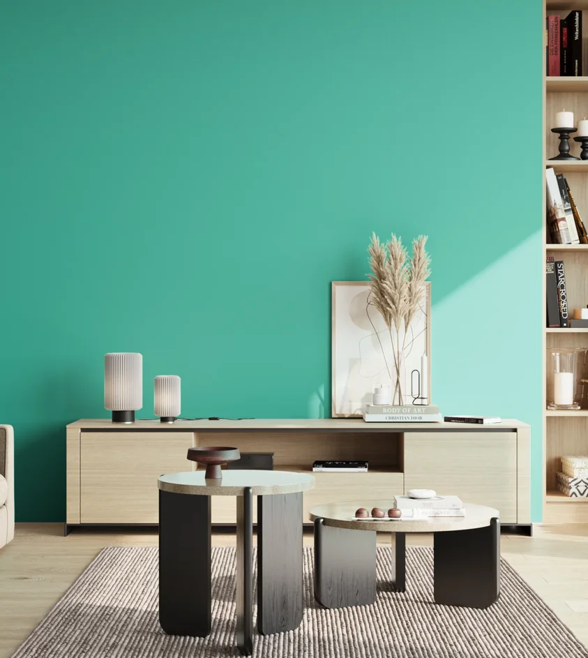 P10_SNIEZKA_salon_02_poludnie_GREY_S1050-B70G