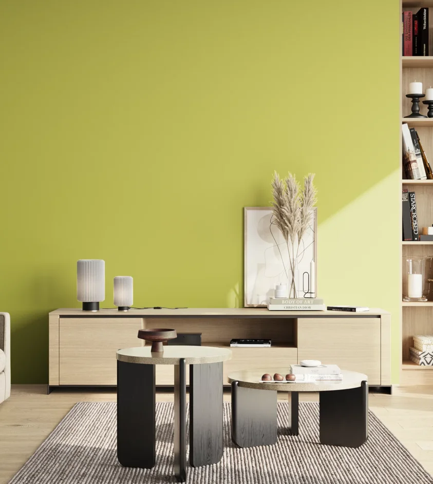 P10_SNIEZKA_salon_02_poludnie_GREY_S1050-G70Y