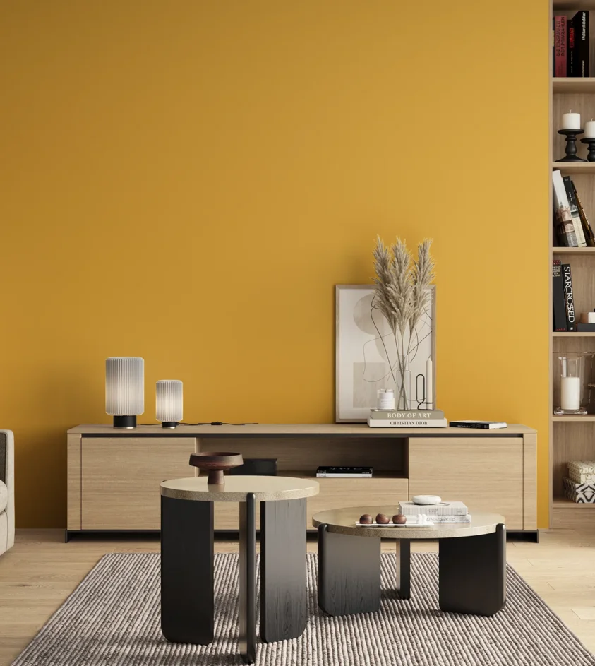 P10_SNIEZKA_salon_00_neutral_GREY_S1060-Y10R
