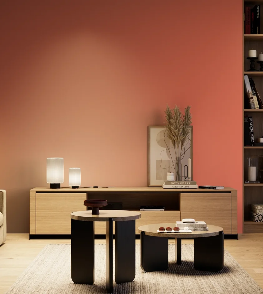 P10_SNIEZKA_salon_04_cieple_GREY_S1060-Y80R