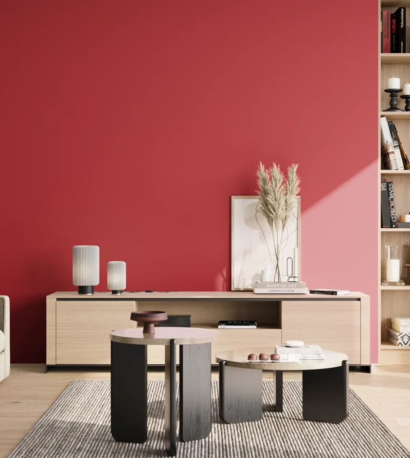 P10_SNIEZKA_salon_02_poludnie_GREY_S1080-R