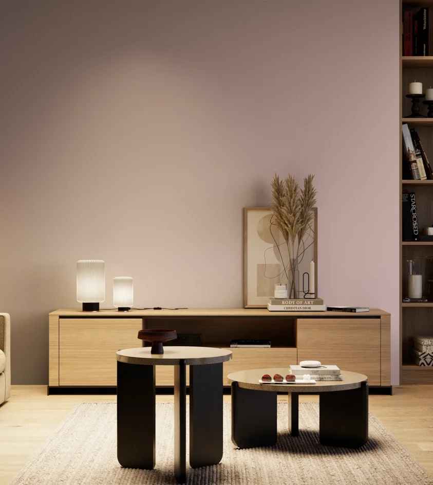 P10_SNIEZKA_salon_04_cieple_GREY_S1515-R20B