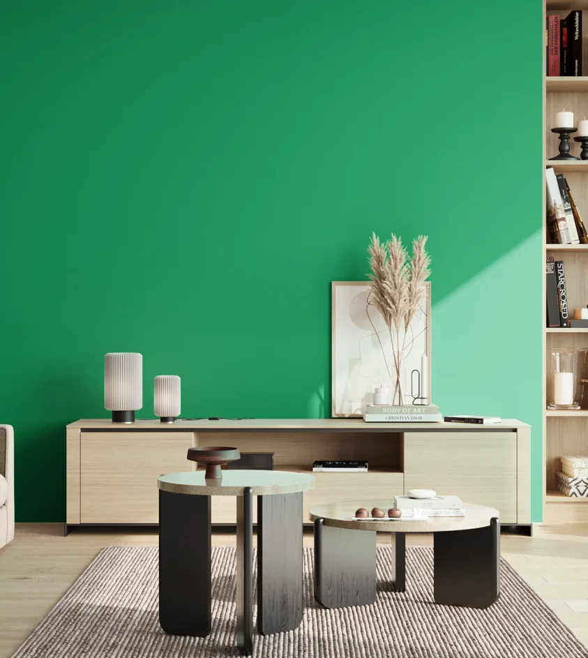 P10_SNIEZKA_salon_02_poludnie_GREY_S1565-G