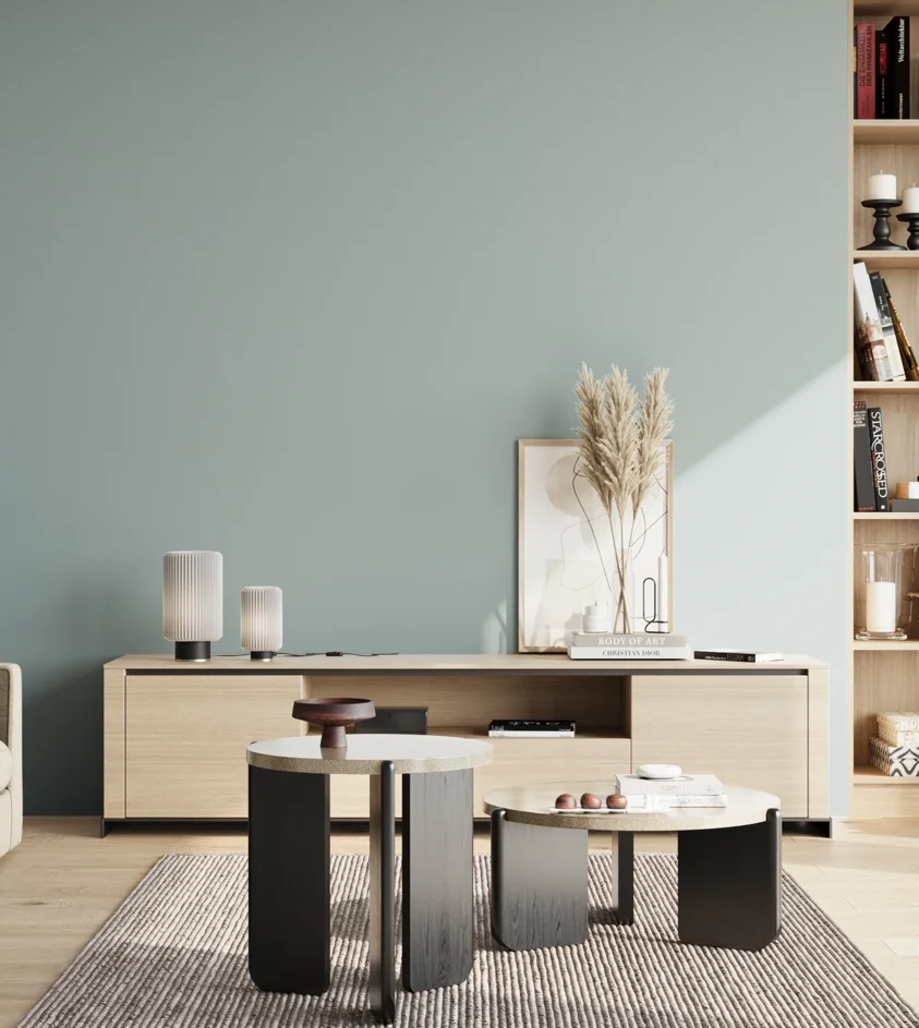 P10_SNIEZKA_salon_02_poludnie_GREY_S2010-B30G