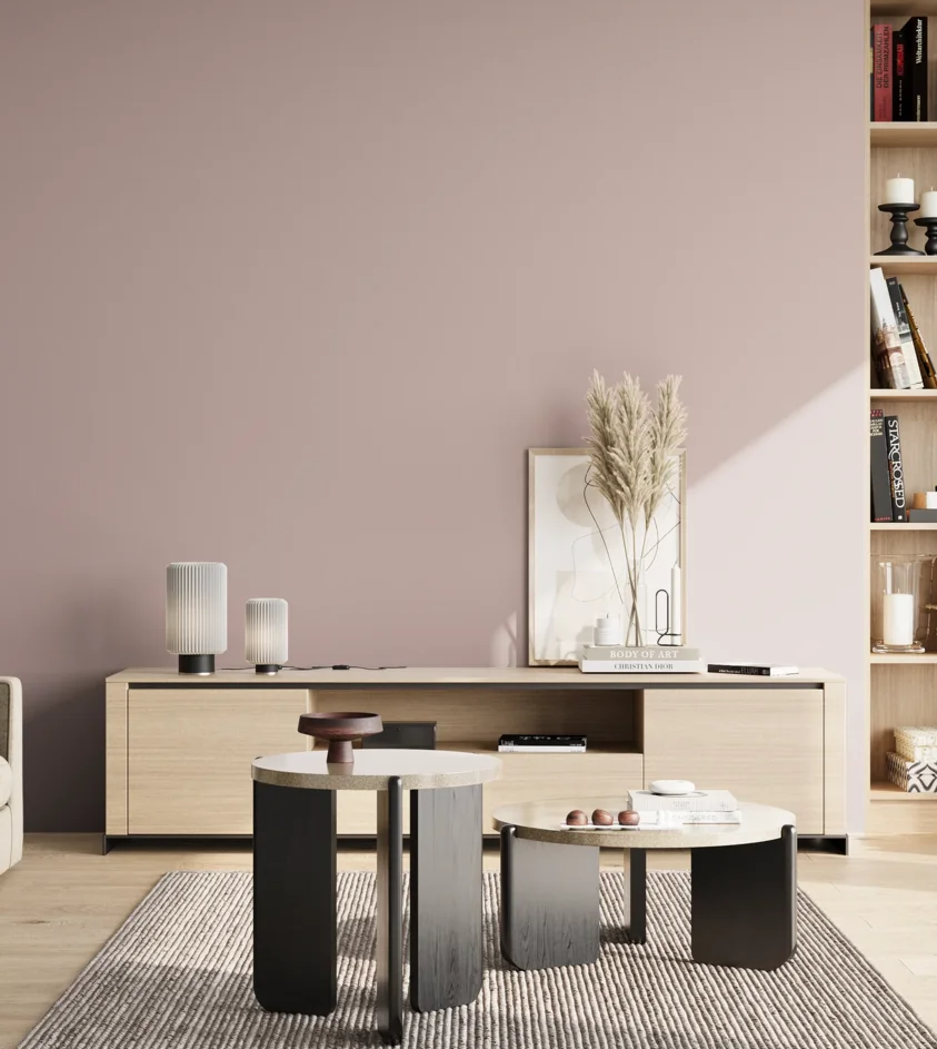 P10_SNIEZKA_salon_02_poludnie_GREY_S2010-R10B