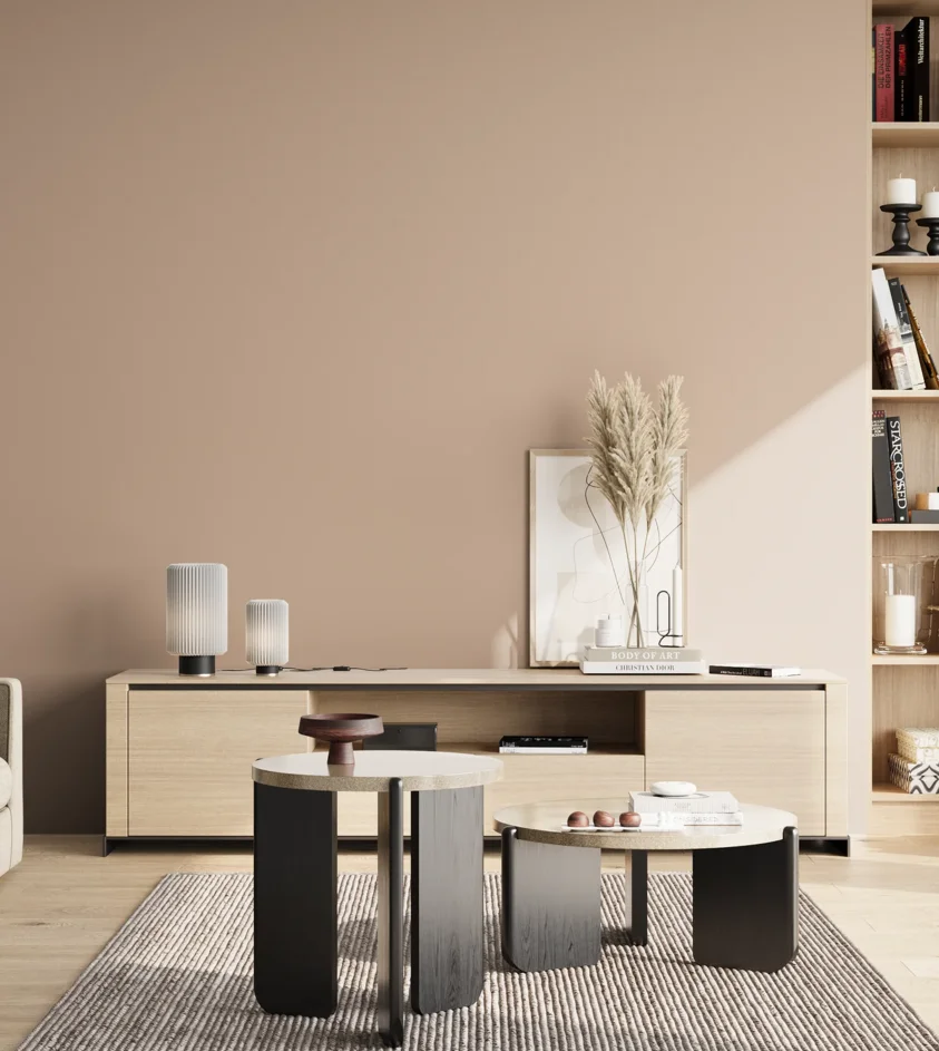 P10_SNIEZKA_salon_02_poludnie_GREY_S2010-Y60R