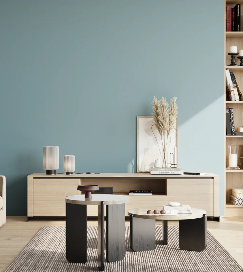 P10_SNIEZKA_salon_02_poludnie_GREY_S2020-B10G