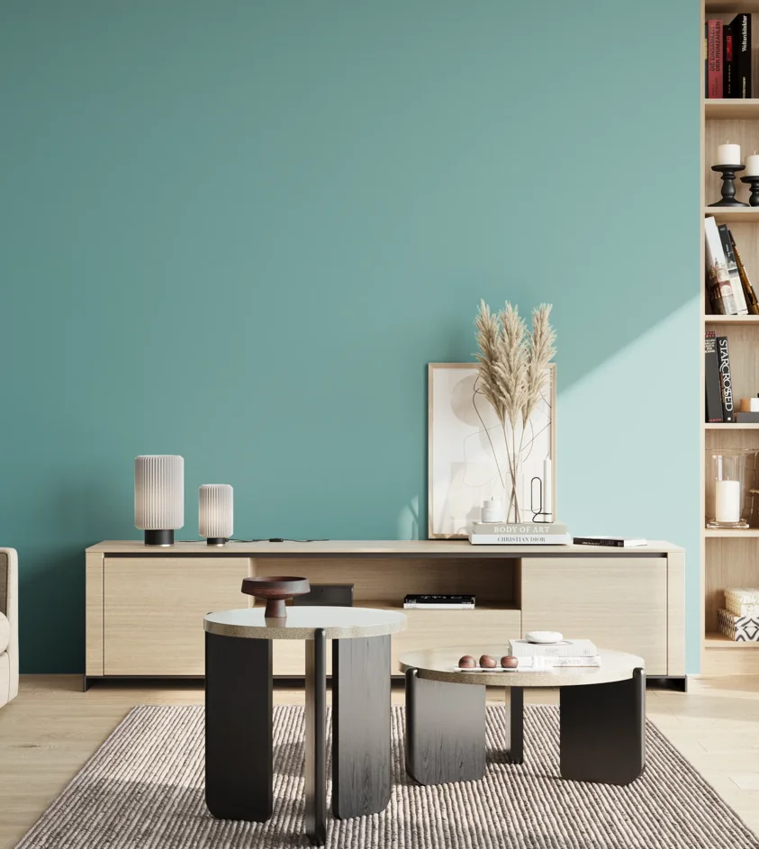 P10_SNIEZKA_salon_02_poludnie_GREY_S2030-B40G
