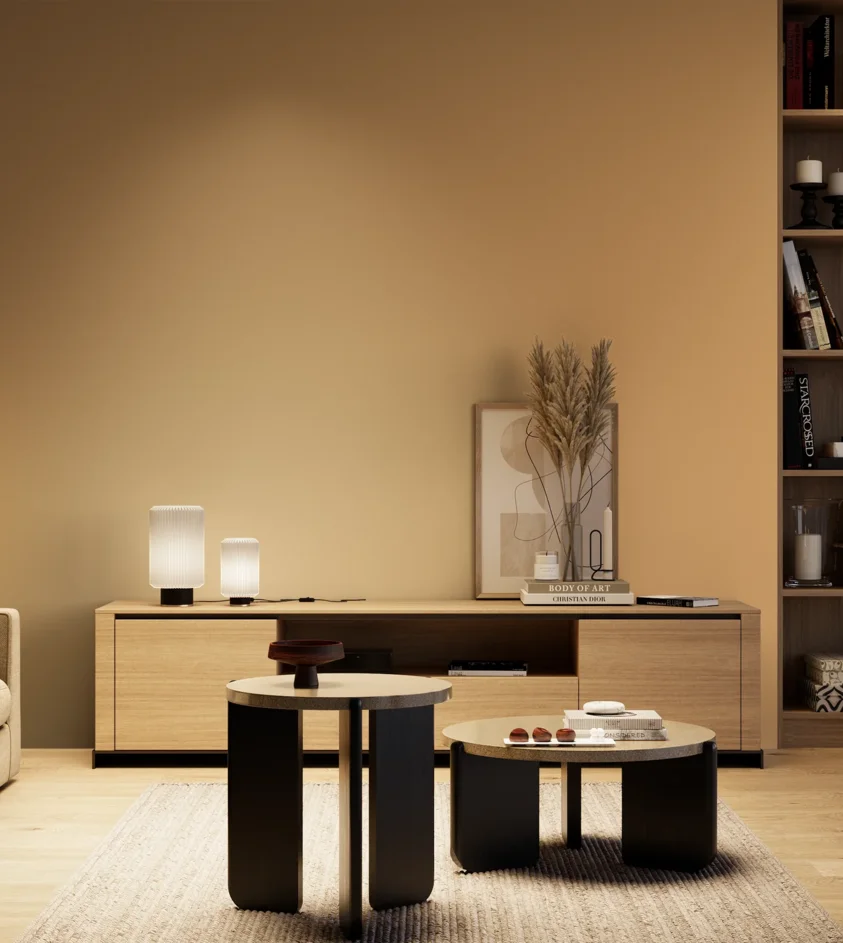 P10_SNIEZKA_salon_04_cieple_GREY_S2030-Y30R