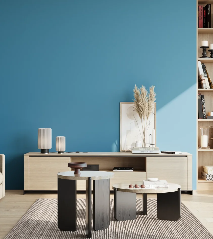 P10_SNIEZKA_salon_02_poludnie_GREY_S2050-B