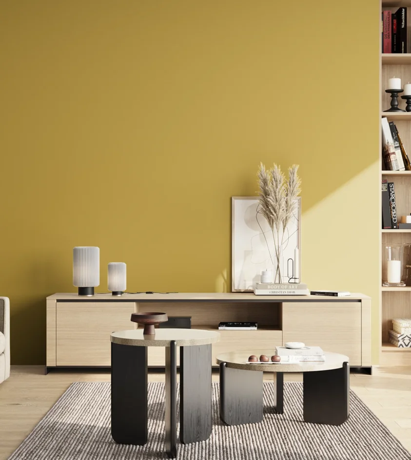 P10_SNIEZKA_salon_02_poludnie_GREY_S2050-Y