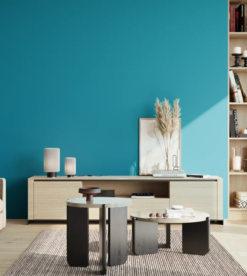 P10_SNIEZKA_salon_02_poludnie_GREY_S2055-B10G