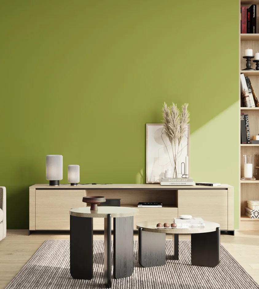 P10_SNIEZKA_salon_02_poludnie_GREY_S2060-G50Y