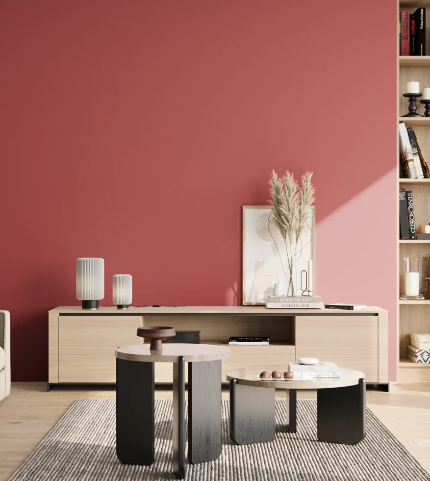 P10_SNIEZKA_salon_02_poludnie_GREY_S2060-R