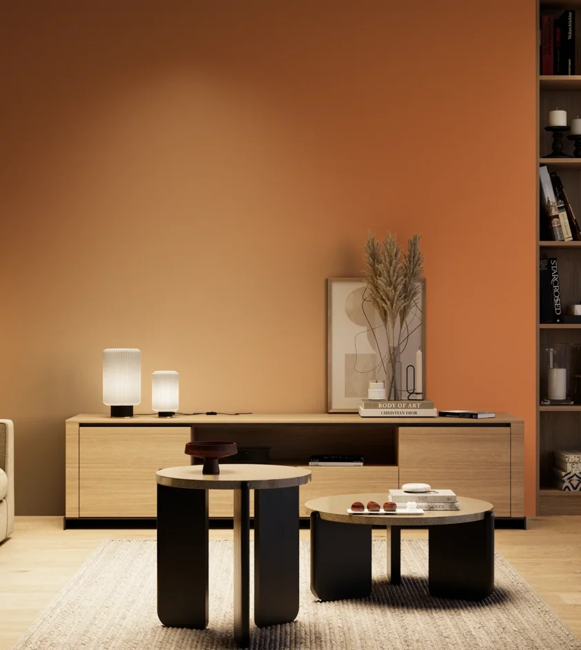 P10_SNIEZKA_salon_04_cieple_GREY_S2060-Y50R